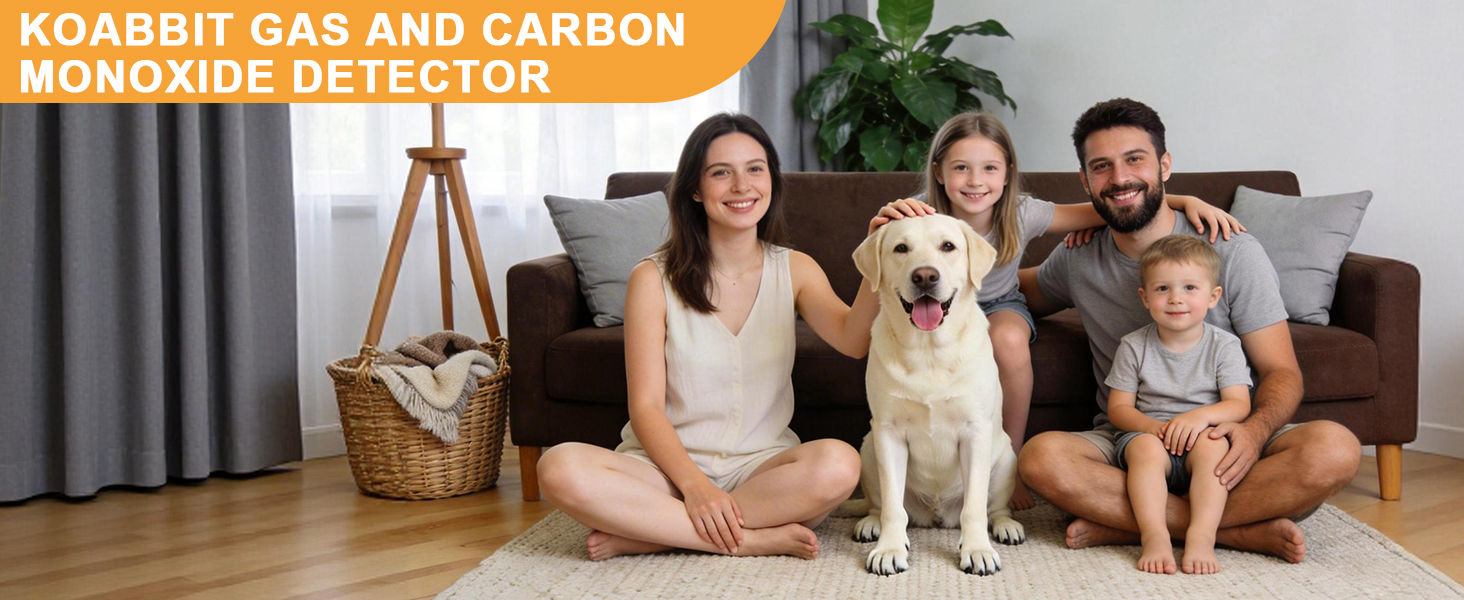 natural gas and carbon monoxide detector