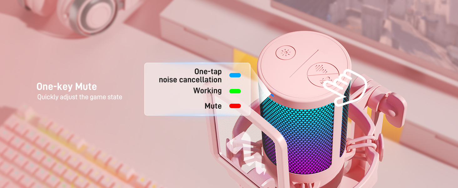 Computer Microphone