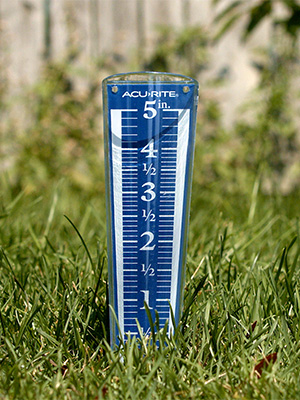 00850A2 in the grass