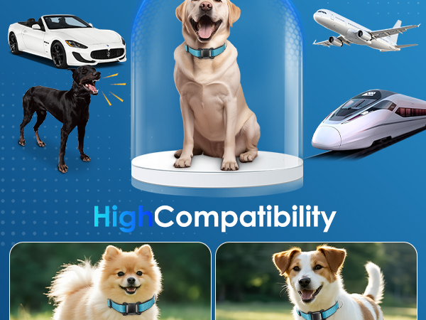 Relaxants Carrying Box