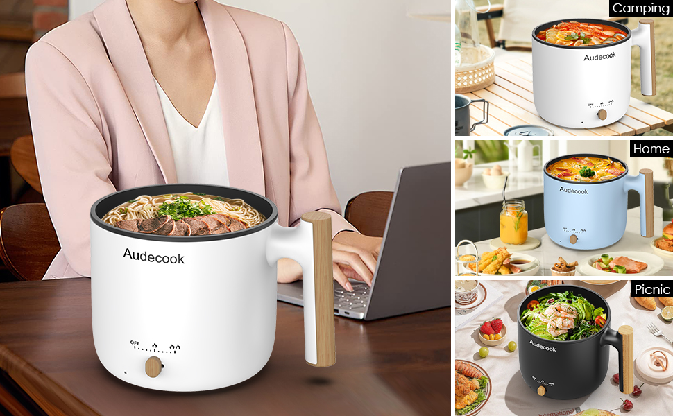 Audecook electric pot