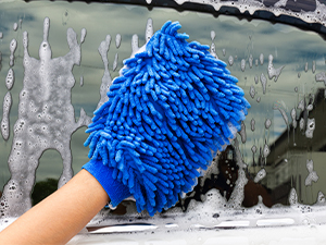 car wash mitt