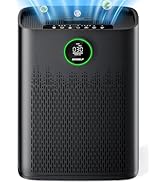 Air Purifiers for Home Large Room, Cover Up to 2400 Ft² with True HEPA Filter, Smart Mode, PM2.5 ...