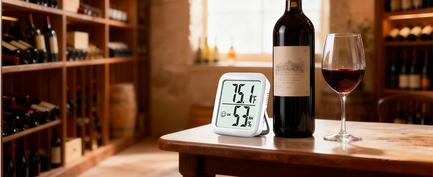 indoor thermometer for room temperature analog