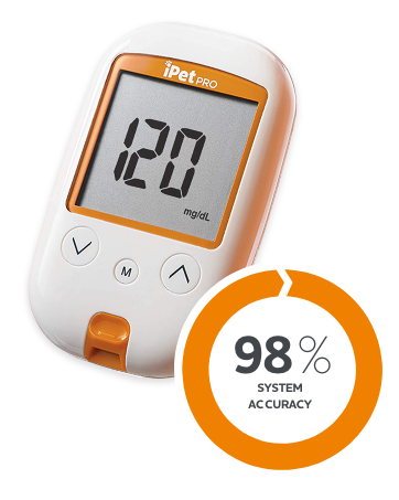 Glucose meter