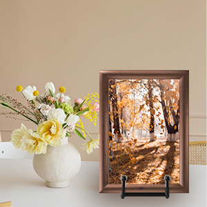 Plate Stands