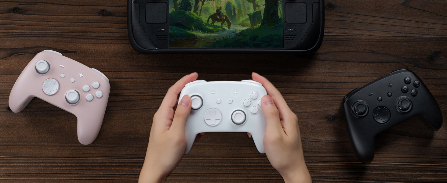 switch pro controller