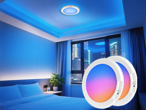 battery powered ceiling light