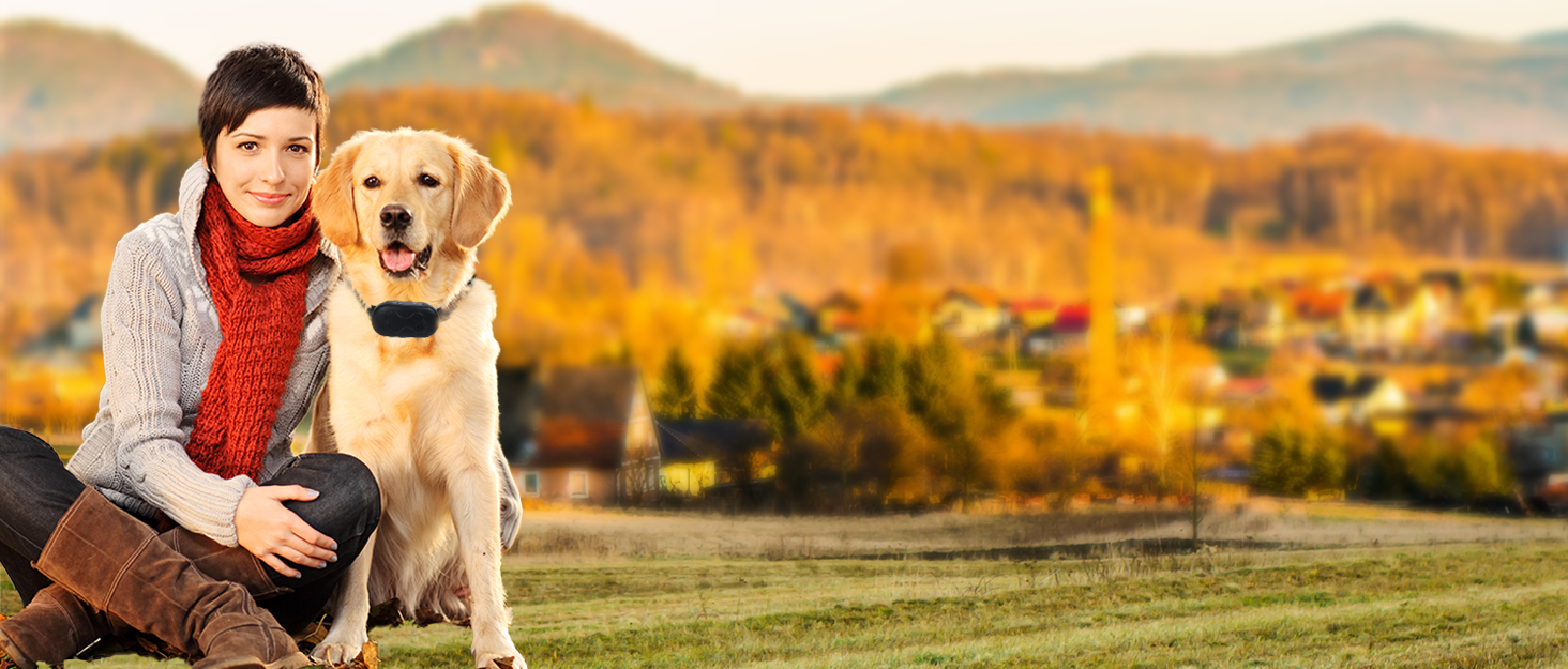 dog shock collar with remote control