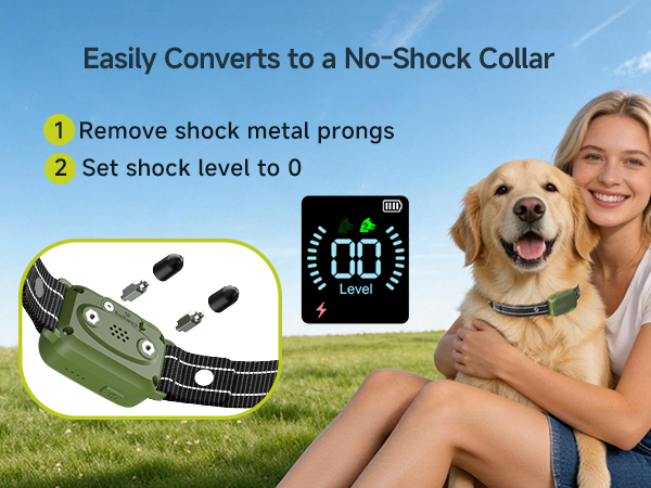e collar for dogs training