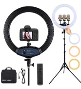 19 inch LED Ring Light