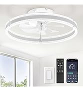LEDIARY Ceiling Fans with Lights and Remote, 20'' Low Profile Ceiling Fan with Light, 3000-6000K ...