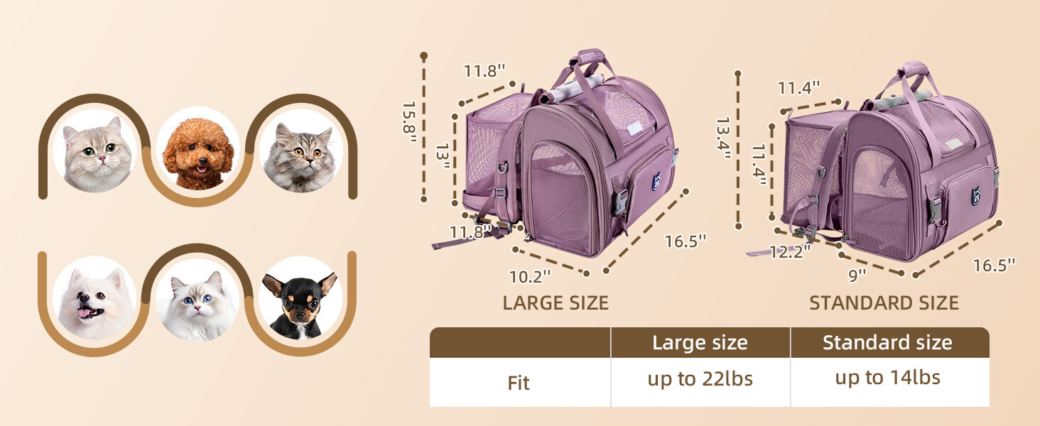 cat carrier