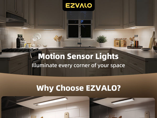Motion Sensor Light Indoor