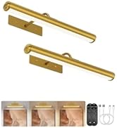 EZVALO Picture Lights for Wall, 13in Wireless Rechargeable 4000mAh LED Art Lights with Remote, Di...