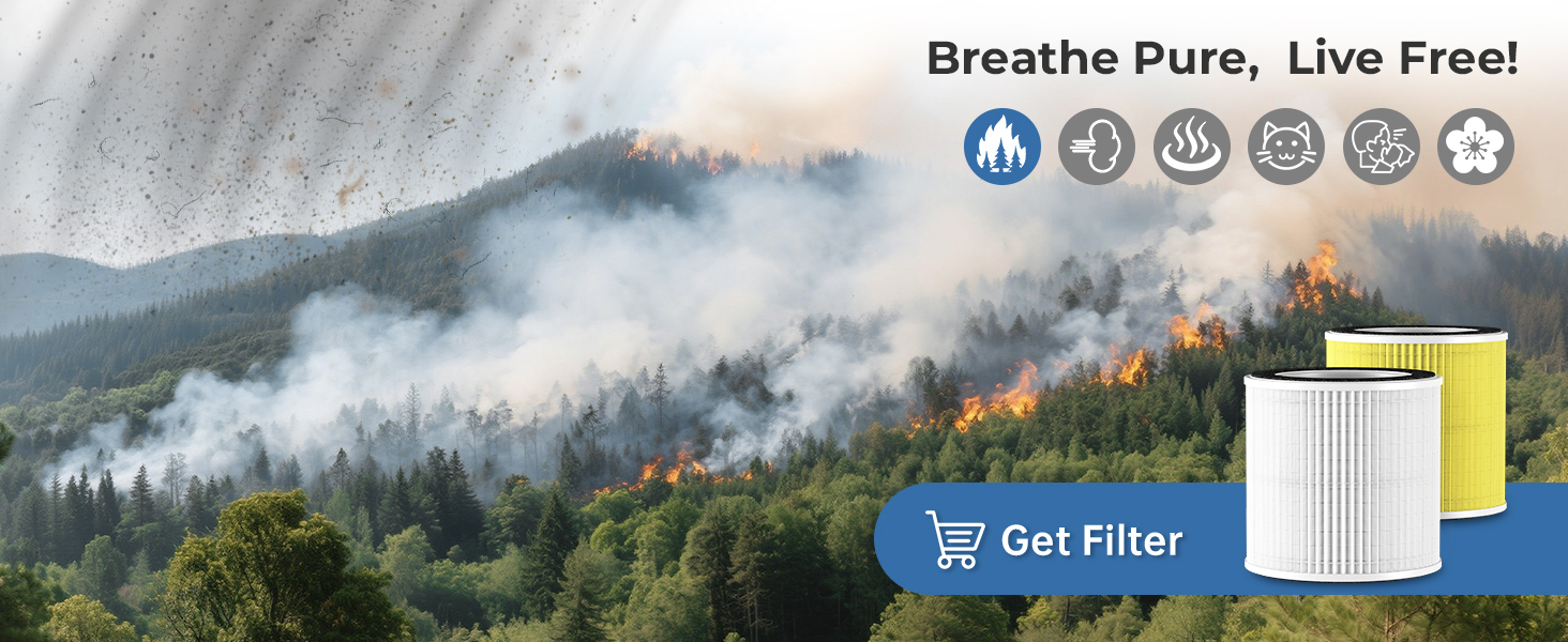 air purifiers for wildfire