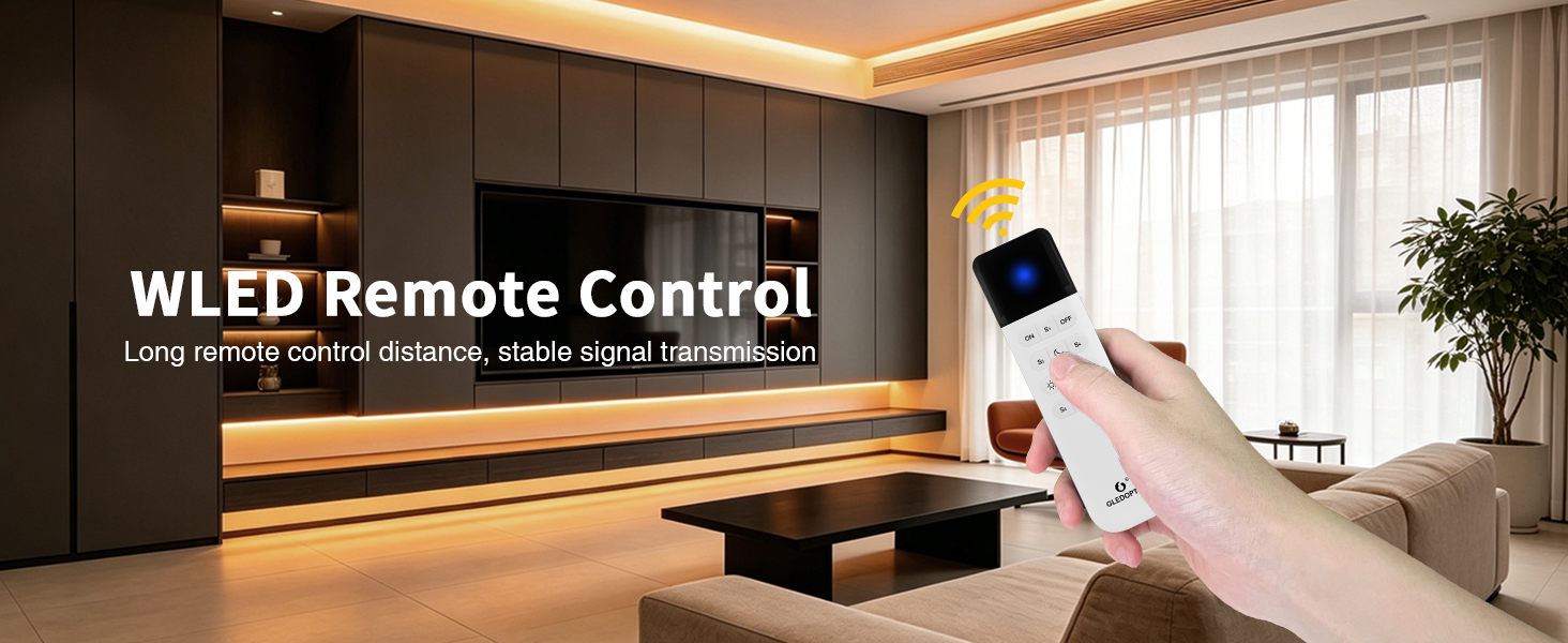 remote control