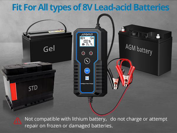 Car Battery Charger