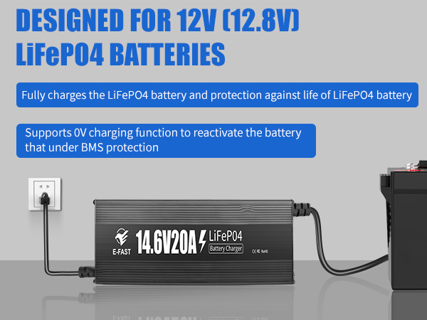 lifepo4 battery charger