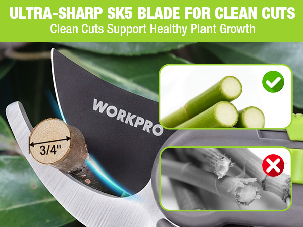 ultra-sharp sk5 blade for clean cuts