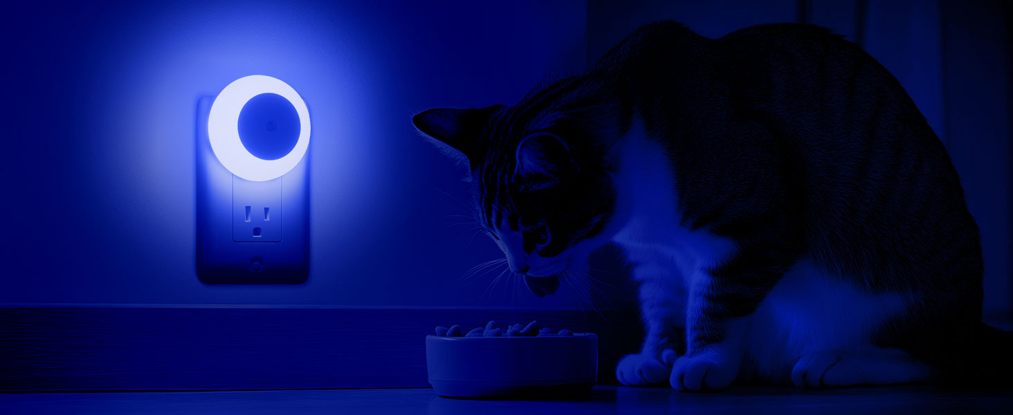 night light