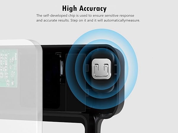 IF1131D Accurate Chip Mobile