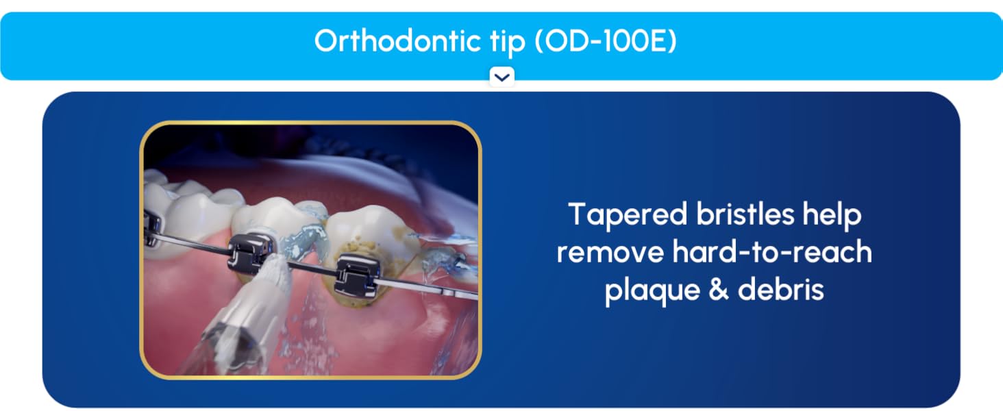 Image of Orthodontic Flossing tip with text reading tapered bristles to remove hard to reach plaque.
