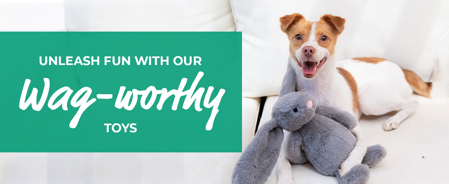dog toys for small dogs