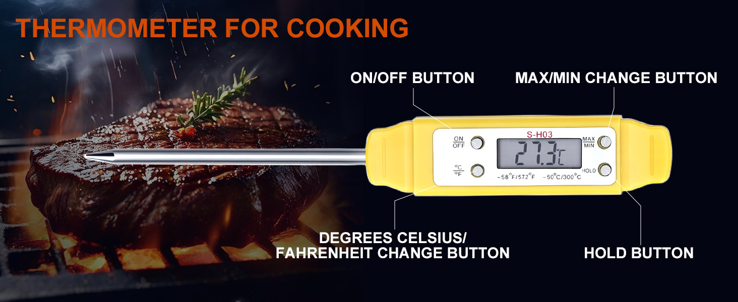 Food Thermometer