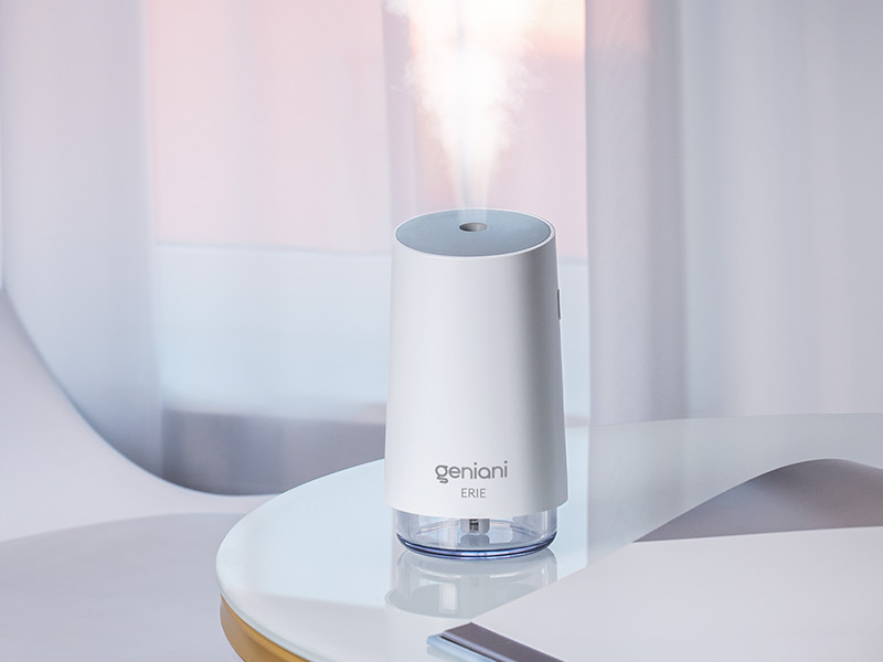 Portable Small Cool Mist Humidifiers 250ML - USB Desktop Humidifier for Plants,