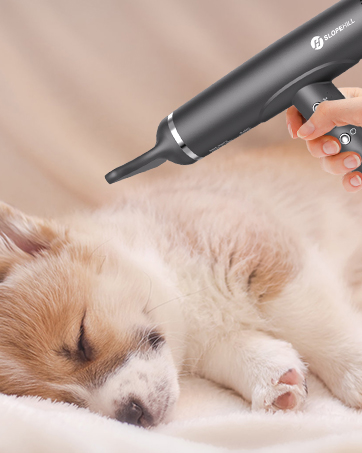 ionic hair dryer