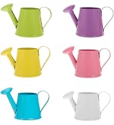 DOITOOL 6 Pcs Mini Watering Can Metal Small Decorative Tiny Watering Cans Miniature Kettle Pot fo...