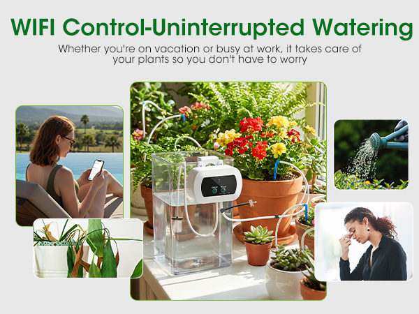 plant watering devices