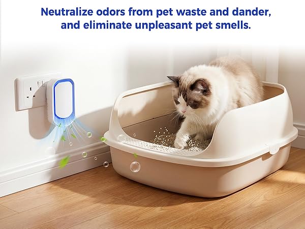 Air Purifier for Home