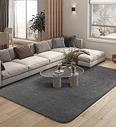 Color&amp;Geometry Morden Soft Area Rugs, Super Soft Fluff Rug for Living Room Carpet for Bedroom Hom...