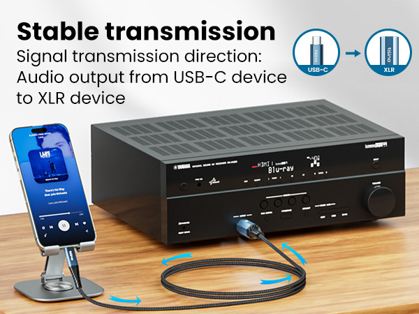 USB C to XLR Male