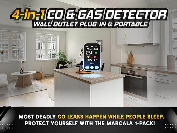 gas and carbon monoxide detectors plug in