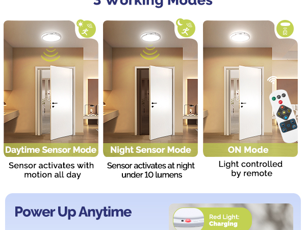 attery Operated Ceiling Light with Remote