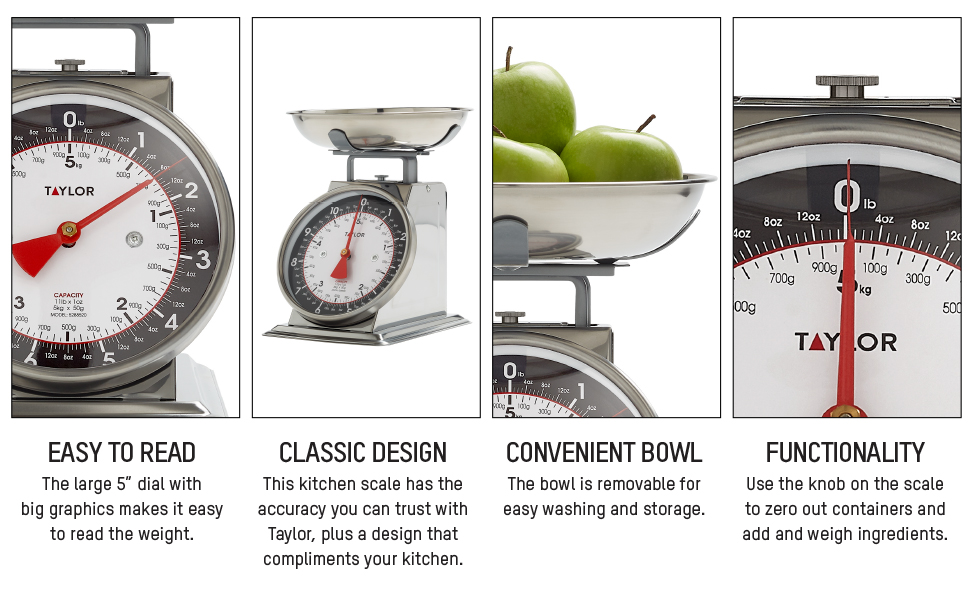 taylor mechnical scale