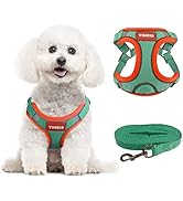 XS Small Dog Harness and Leash Set, Ultra Soft Adjustable No Pull Puppy Harness with Reflective S...