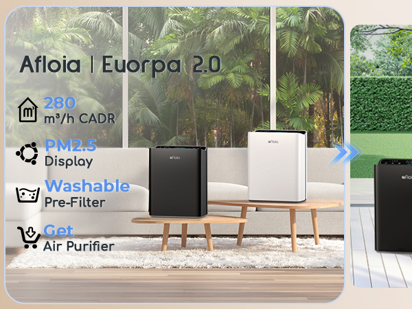 Air Purifier for Large Room