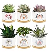 6Pcs Thank You Teacher Gift Rainbow Succulent Pots Mini Ceramic Plant Pots with Bamboo Tray Flowe...