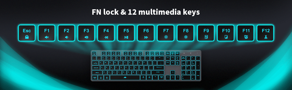 fn lock &amp; 12 multimedia keys