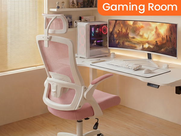 Desk Chair Designed for any Workspaces