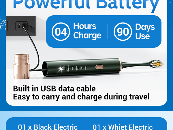 Electric Toothbrush for Adults