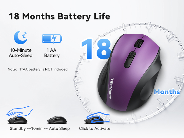 mouse