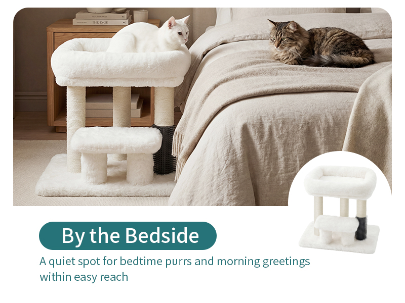 Cat Scratching Post