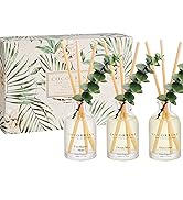 COCORRÍNA Eucalyptus Reed Diffuser Set of 3 - Eucalyptus &amp; Moss, Clean Linen, Ocean Mist Scents, ...