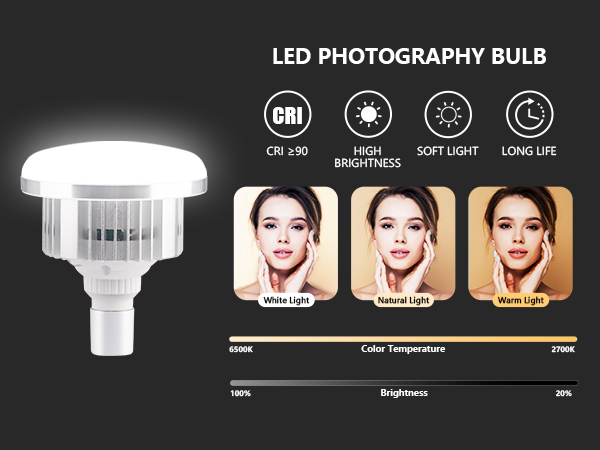 Softbox Lighting Kit
