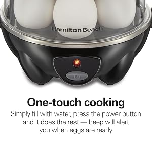egg bites